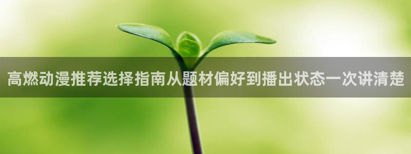 动漫之岛
