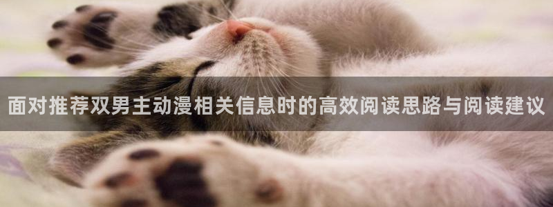 好看的动漫推荐:面对推荐双男主动漫相关信息时的高效阅读思路与阅读建议