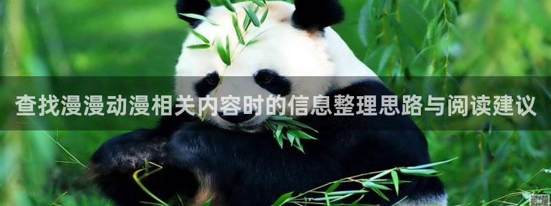 漫岛动漫网站:查找漫漫动漫相关内容时的信息整理思路与阅读建议