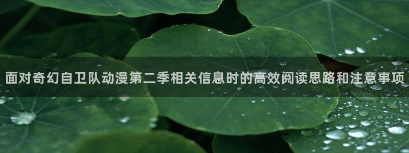动漫overflow:面对奇幻自卫队动漫第二季相关信息时的高效阅读思路和注意事项