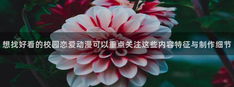 动漫岛:想找好看的校园恋爱动漫可以重点关注这些内容特征与制作细节