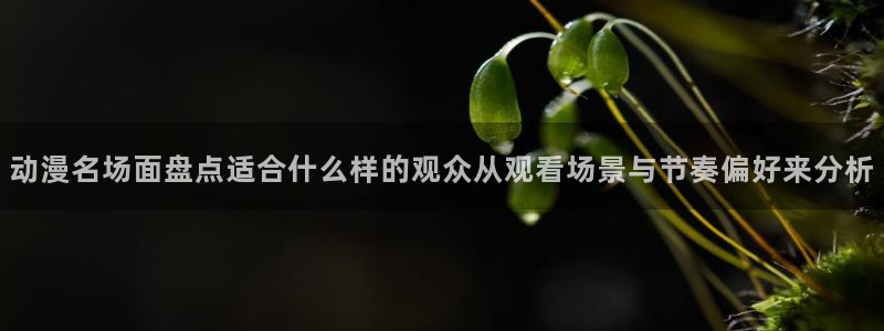 搞笑的动画片