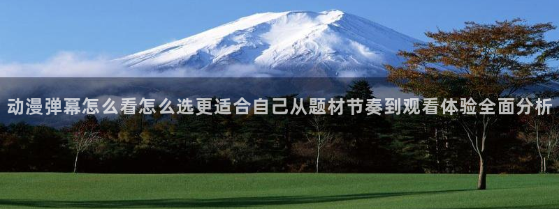动漫推荐国漫:动漫弹幕怎么看怎么选更适合自己从题材节奏到观看体验全面分析